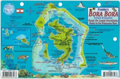 Bora Bora French Polynesia Fish ID Card. These fish cards are produced on stiff laminated plastic with a hole for a lanyard. Take it snorkeling or scuba diving with you! Size of Fish Cards are 6" x 9".