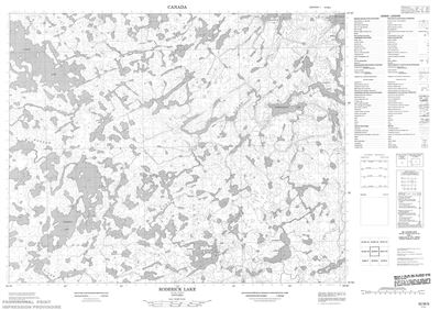 052M09 - RODERICK LAKE - Topographic Map