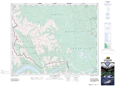 082O06 - LAKE MINNEWANKA - Topographic Map