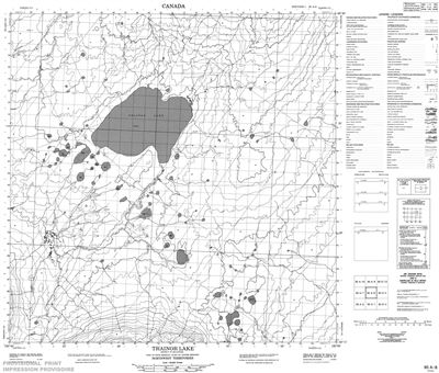 095A08 - TRAINOR LAKE - Topographic Map