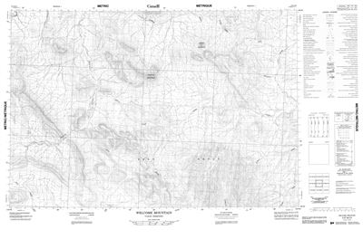 117A11 - WELCOME MOUNTAIN - Topographic Map
