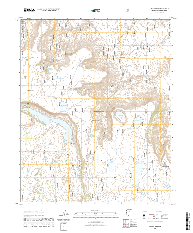 Ashurst Lake Arizona - 24k Topo Map