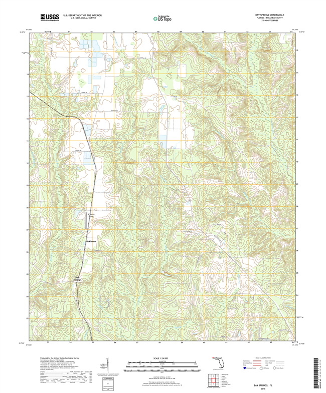 Bay Springs Florida - 24k Topo Map