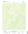 Taylor Florida - 24k Topo Map