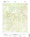 Wellborn Florida - 24k Topo Map