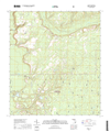 Woods Florida - 24k Topo Map