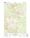 Walkerville West Michigan - 24k Topo Map