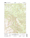 Whitetail Butte Oregon  - 24k Topo Map