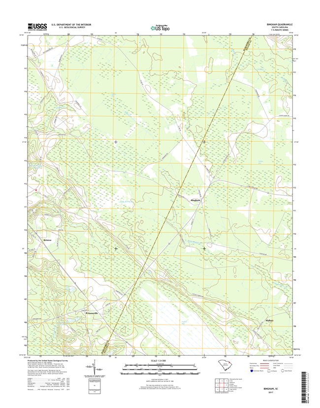 Bingham South Carolina  - 24k Topo Map