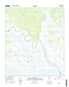 Wiggins South Carolina  - 24k Topo Map