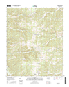 Vanleer Tennessee  - 24k Topo Map