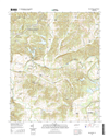 Williamsport Tennessee  - 24k Topo Map