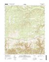 Woodlawn Tennessee  - 24k Topo Map