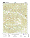 Woolworth Tennessee  - 24k Topo Map