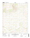 Williams Texas - 24k Topo Map