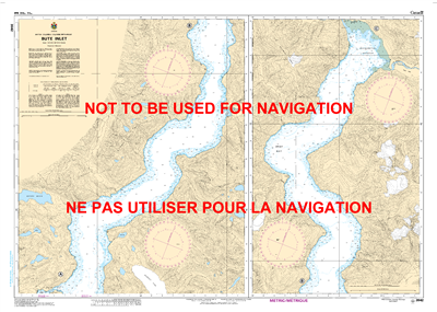 3542 - Bute Inlet Nautical Chart. Canadian Hydrographic Service (CHS)'s exceptional nautical charts and navigational products help ensure the safe navigation of Canada's waterways. These charts are the 'road maps' that guide mariners safely from port to p