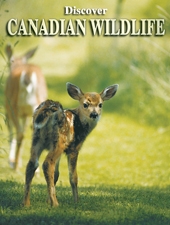 Playing Cards Canadian Wildlife