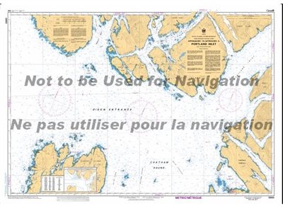 3960 Approaches to Portland Inlet