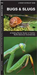 Bugs & Slugs folding pocket guide. A Folding Pocket Guide to Familiar North American Invertebrates. This beautifully illustrated guide describes bees, ants, beetles, butterflies, moths, flying insects, grasshoppers, cicadas, true bugs, spiders, household