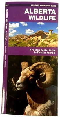 Alberta Wildlife Folding Pocket Guide. Alberta Wildlife is the perfect pocket-sized, folding guide for the nature enthusiast. The beautifully illustrated guide highlights over 140 familiar species of birds, m