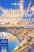 Naples Pompeii & the Amalfi Coast Travel Guide Book with 39 Maps. Includes Naples, Procida, Capri, Positano, Mt Vesuvius, Pompeii, Ravello, The Islands, Salerno, the Cilento, Amalfi Coast, and more. Meander past orange groves and swaying pines to reach st