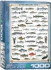 FRESHWATER FISH - PUZZLE - 1000 PC.  High quality puzzle of Freshwater Fish.