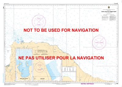 7666 - Cape Lyon to Tinney Point Nautical Chart. Canadian Hydrographic Service (CHS)'s exceptional nautical charts and navigational products help ensure the safe navigation of Canada's waterways. These charts are the 'road maps' that guide mariners safely