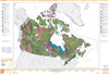 Surficial Geology of Canada. This detailed map shows surficial geological features such as glaciers including the glaciation extents and direction, colluvial deposits, alluvial sediments, glaciofluvial sediments, weathered bedrock or regolith and bedrock.