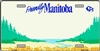 Friendly Manitoba - Metal License Plate. This reproduction license plate reads Friendly Manitoba with a buffalo logo. Heavy duty metal that can go on the front of the car or in your man cave.
