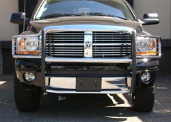 06-08 Ram Aries Brush Guard