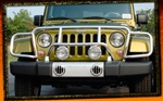 Jeep Wrangler JK Stainless Steel Enforcer Grille Guard by RealWheels