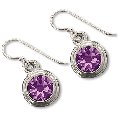 Amethyst (February) Earring Wires