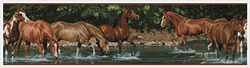 Wild Horses Peel & Stick Border