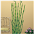 Bamboo Giant Peel & Stick Wall Decal