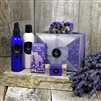 Lavender Petal Collection