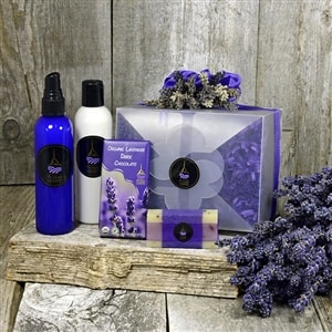 Lavender Petal Collection