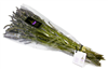 Organic Lavender Bouquet