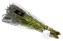 Organic Lavender Bouquet