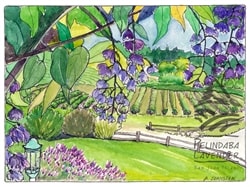 "May at Pelindaba" - card Johnston