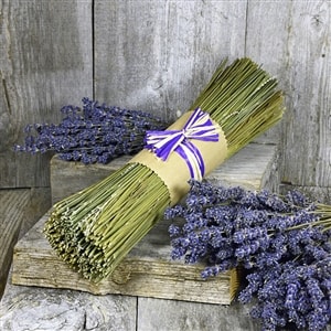 Organic Lavender Stalks