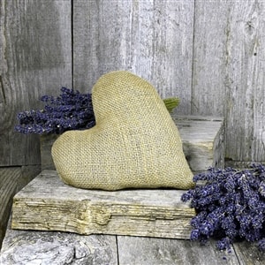Lavender Pet Pillow