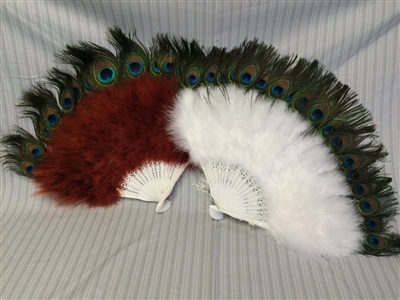 Large Peacock Fan