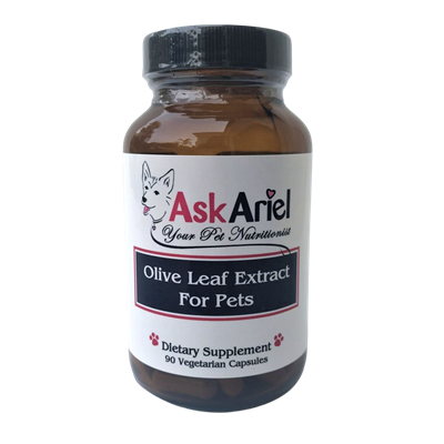 Olive Leaf Extract For Cats & Dogs