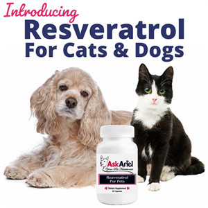 Resveratrol for Dogs