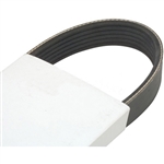 FAN BELT (SERPENTINE) FOR HYSTER : 2067889