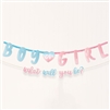 The Big Reveal Gender Reveal Jumbo Banner Kit