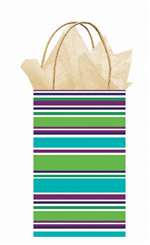 TURQUOISE STRIPE CUB BAG