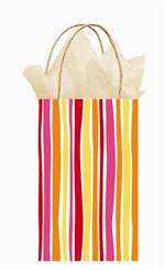 ORANGE STRIPE CUB BAG