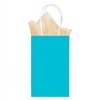 Turquoise Small Kraft Bag