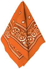 Orange Bandana